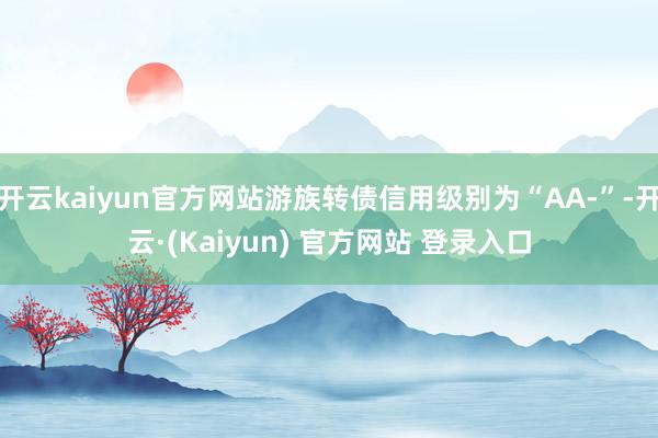 开云kaiyun官方网站游族转债信用级别为“AA-”-开云·(Kaiyun) 官方网站 登录入口