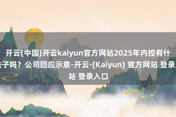 开云(中国)开云kaiyun官方网站2025年内控有什么法子吗？公司回应示意-开云·(Kaiyun) 官方网站 登录入口