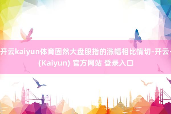 开云kaiyun体育固然大盘股指的涨幅相比情切-开云·(Kaiyun) 官方网站 登录入口