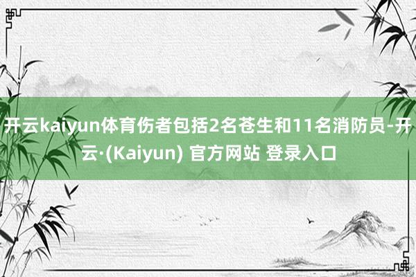 开云kaiyun体育伤者包括2名苍生和11名消防员-开云·(Kaiyun) 官方网站 登录入口